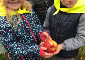chłopiec z dziewczynka trzymają jabłka